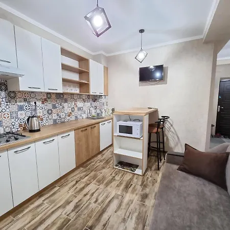 Rent Apartmens 2-rooms Romana Street Apartment Chisinau