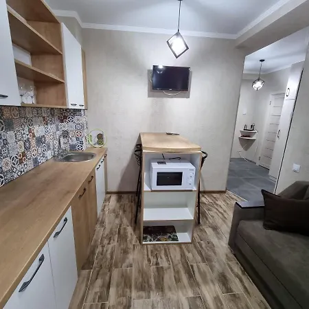 Rent Apartmens 2-rooms Romana Street Apartment Chisinau